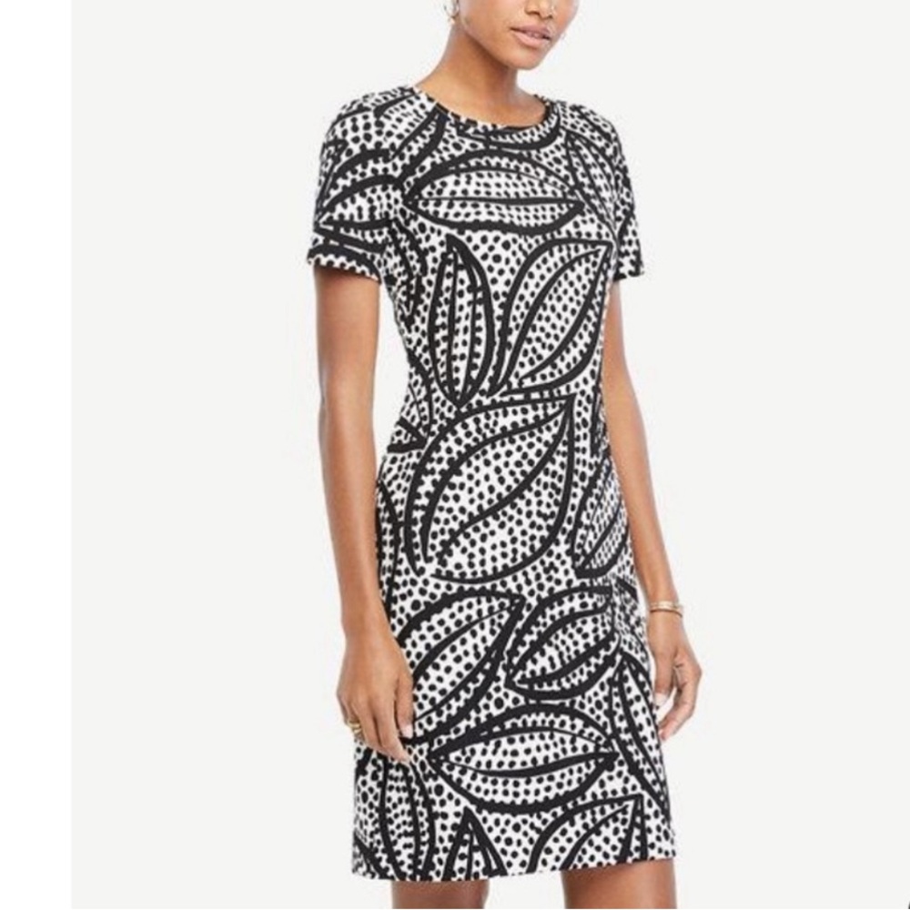 Ann Taylor shift dress M
